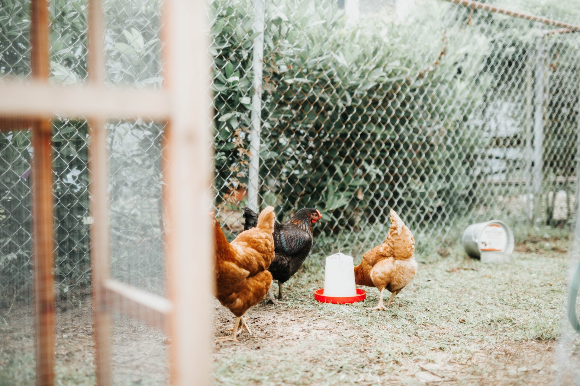 Photo by Annie Williams on Unsplash