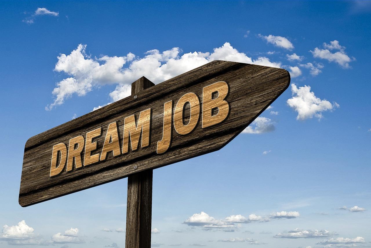Top Features To Look For In A Job Search Portal As A Business